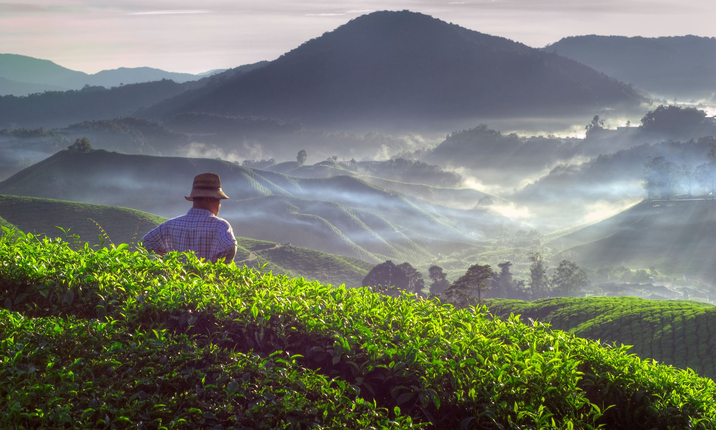 Discovering the Most Viral Tourist Sports in Malaysia